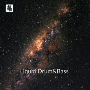 フレッシュリキッドDNB