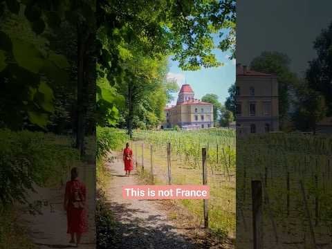 ここはフランスでもクロアチアでもドイツでもない... #viral