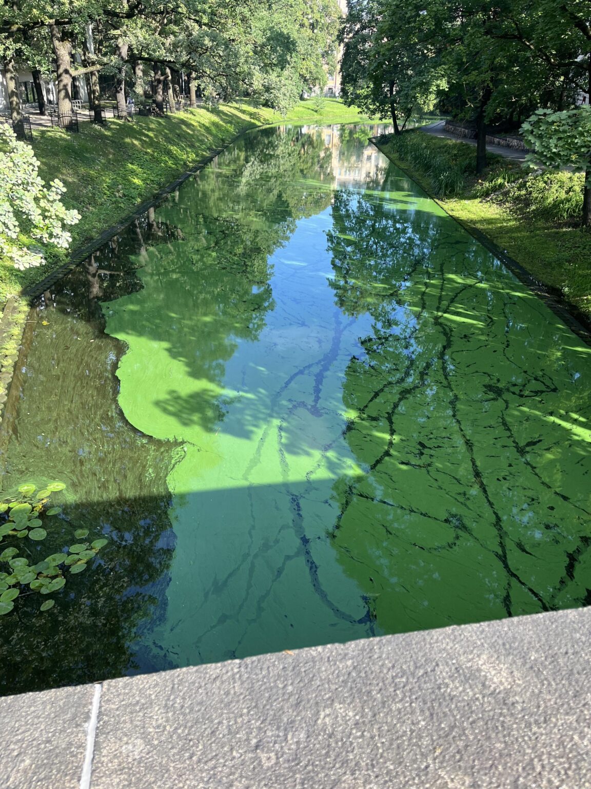 今日はリガ運河で泳がないでください