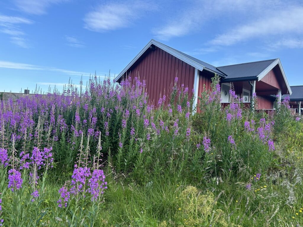 ノルウェーで撮った最も美しい写真（だと思う）