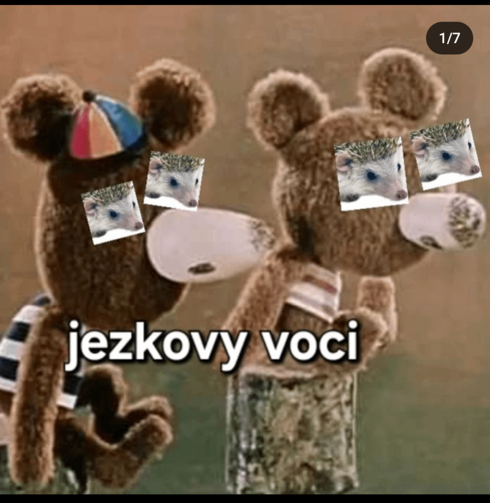 Bear のドラムンベースのリミックス