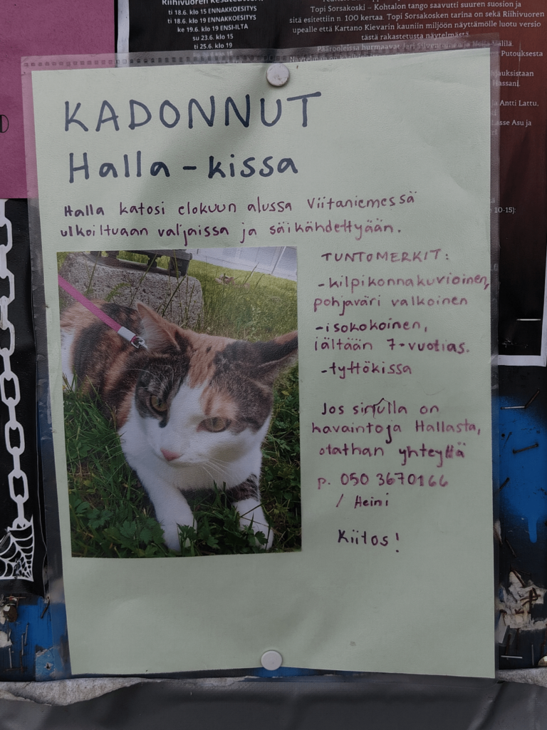 猫が逃げてしまいました