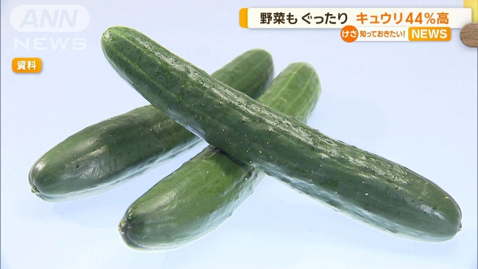 猛暑できゅうり生育不良、 8月中は高値の見通し