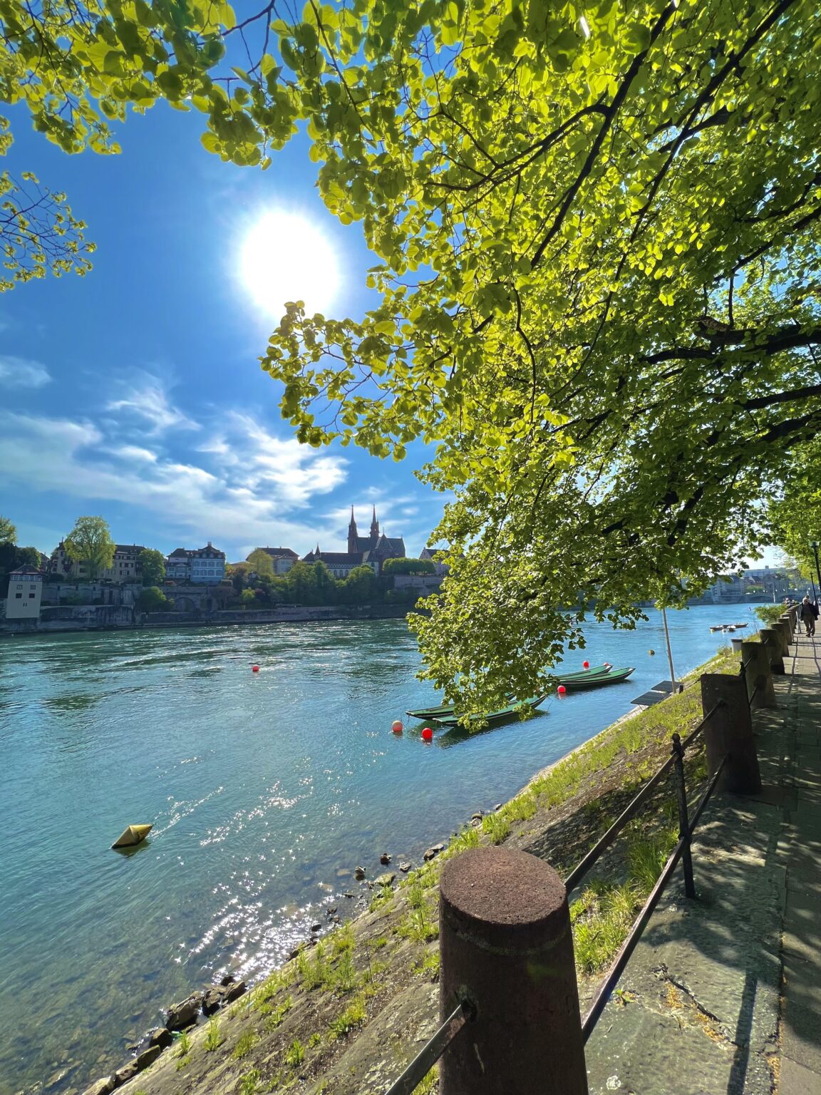 バーゼルの景色を眺めながらライン川で過ごす一日🇨🇭