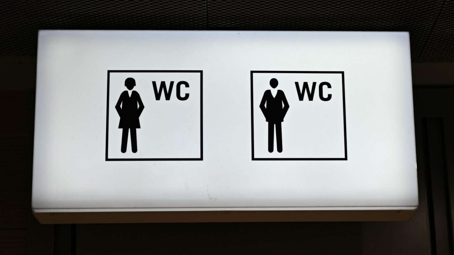 ジェンダー中立のトイレが法律になった - Vísir