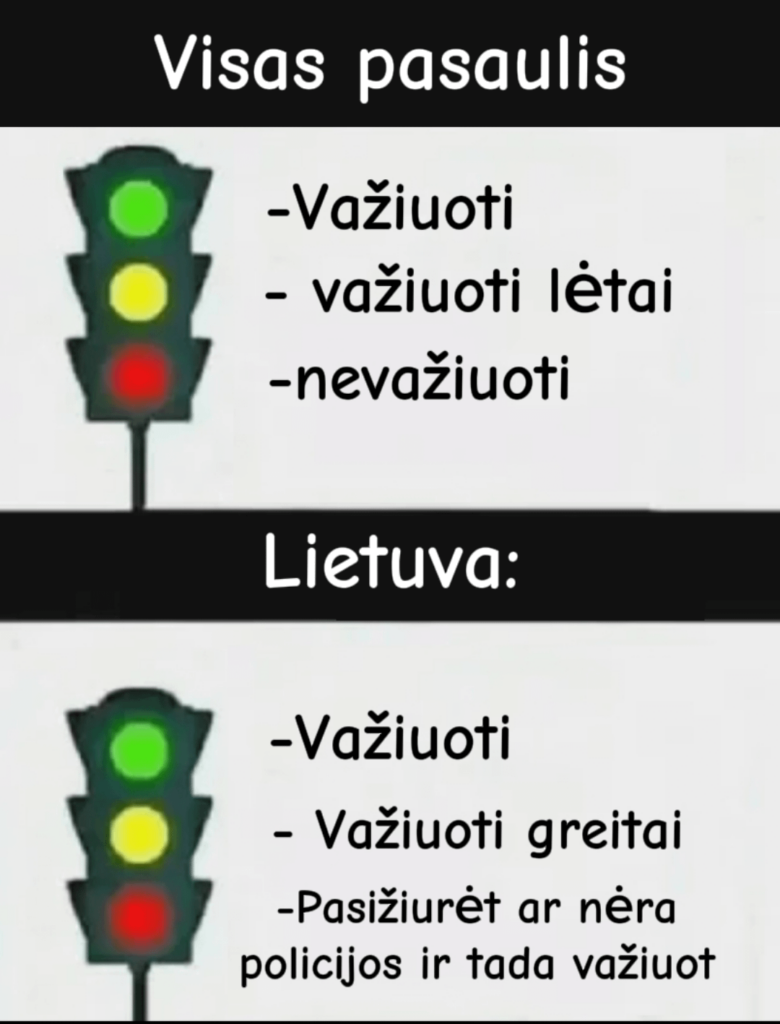 本物