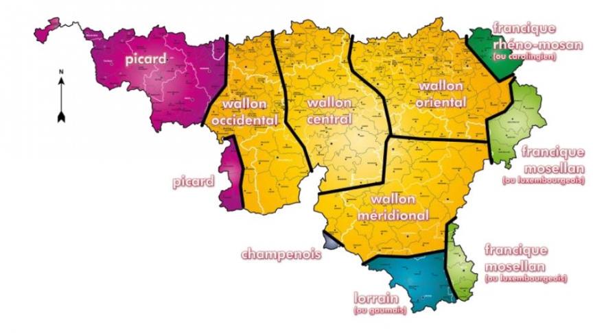 ワロン地方のロマンス語（フランス語以外）の復興に関わっているワロン人はここにいますか？
