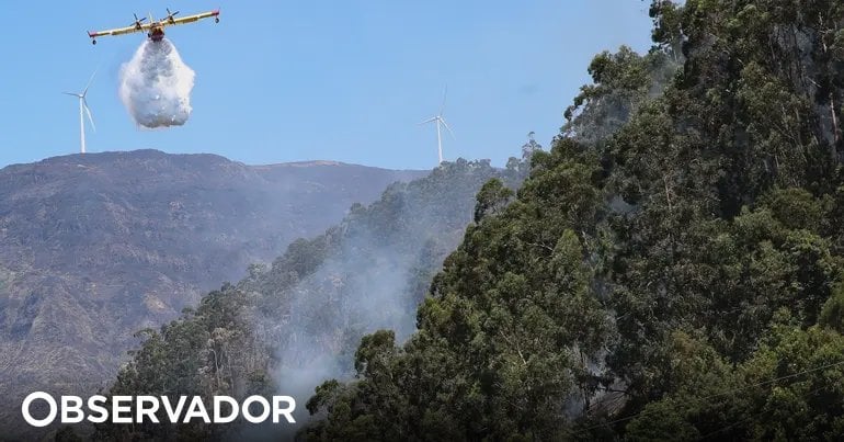 木材。 PJは火災の原因がロケット弾の発射であることを確認しており、すでに容疑者を特定している