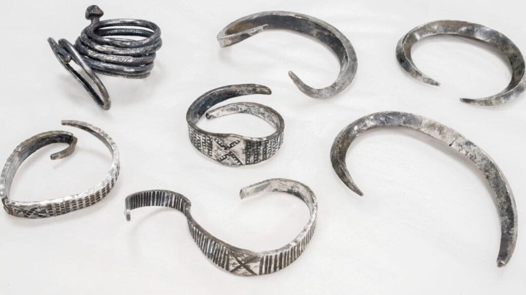 オーフス北で発見されたバイキング時代の「壮観な」銀の宝庫 [fundet af 22-årig arkæologistuderende]