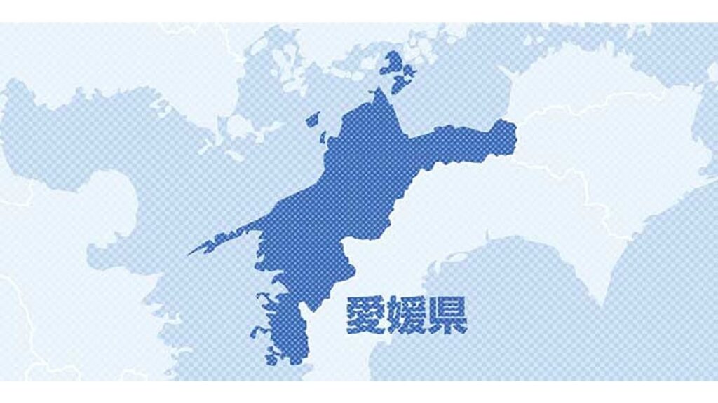 高知自動車道で８台が絡む玉突き事故、１３人が搬送…四国中央市