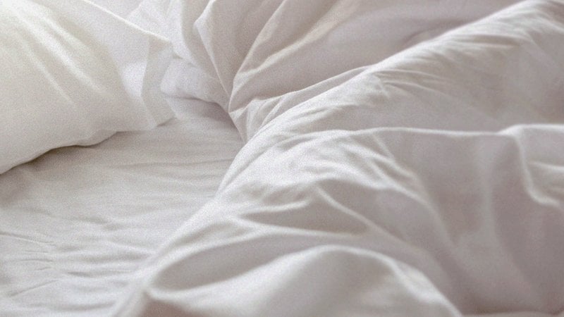 彼らは大人を昼寝させることで生計を立てており、それを革命の一環とみなしている