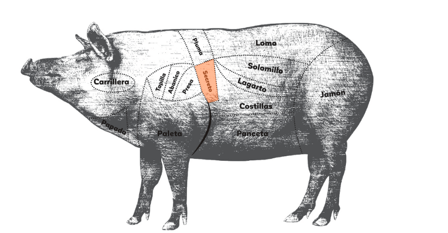 肉屋さんや豚肉に詳しい人はいますか？