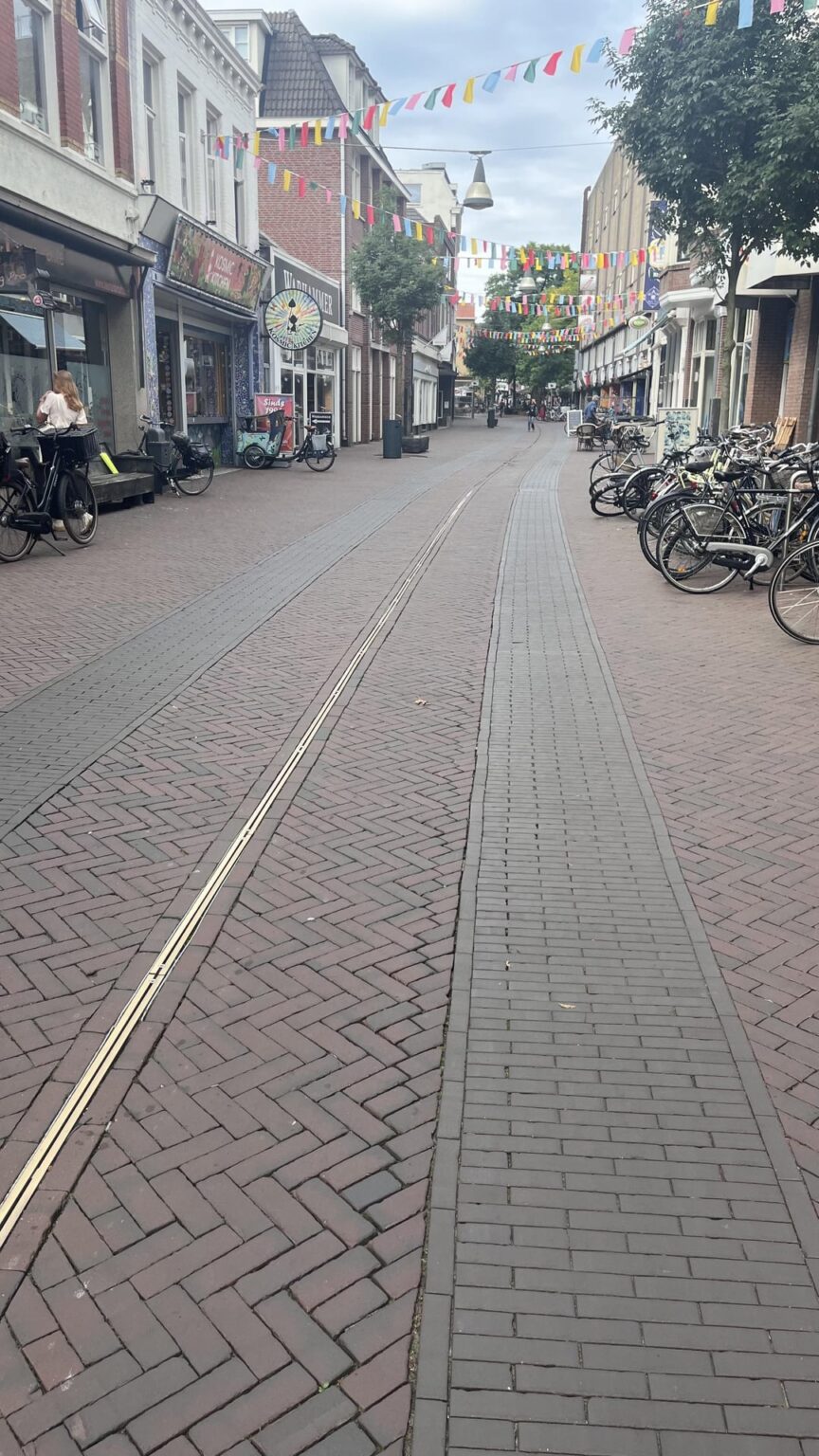 エンスヘーデの道路にあるこれらの標識は、自転車道を示すことを目的としていますか?