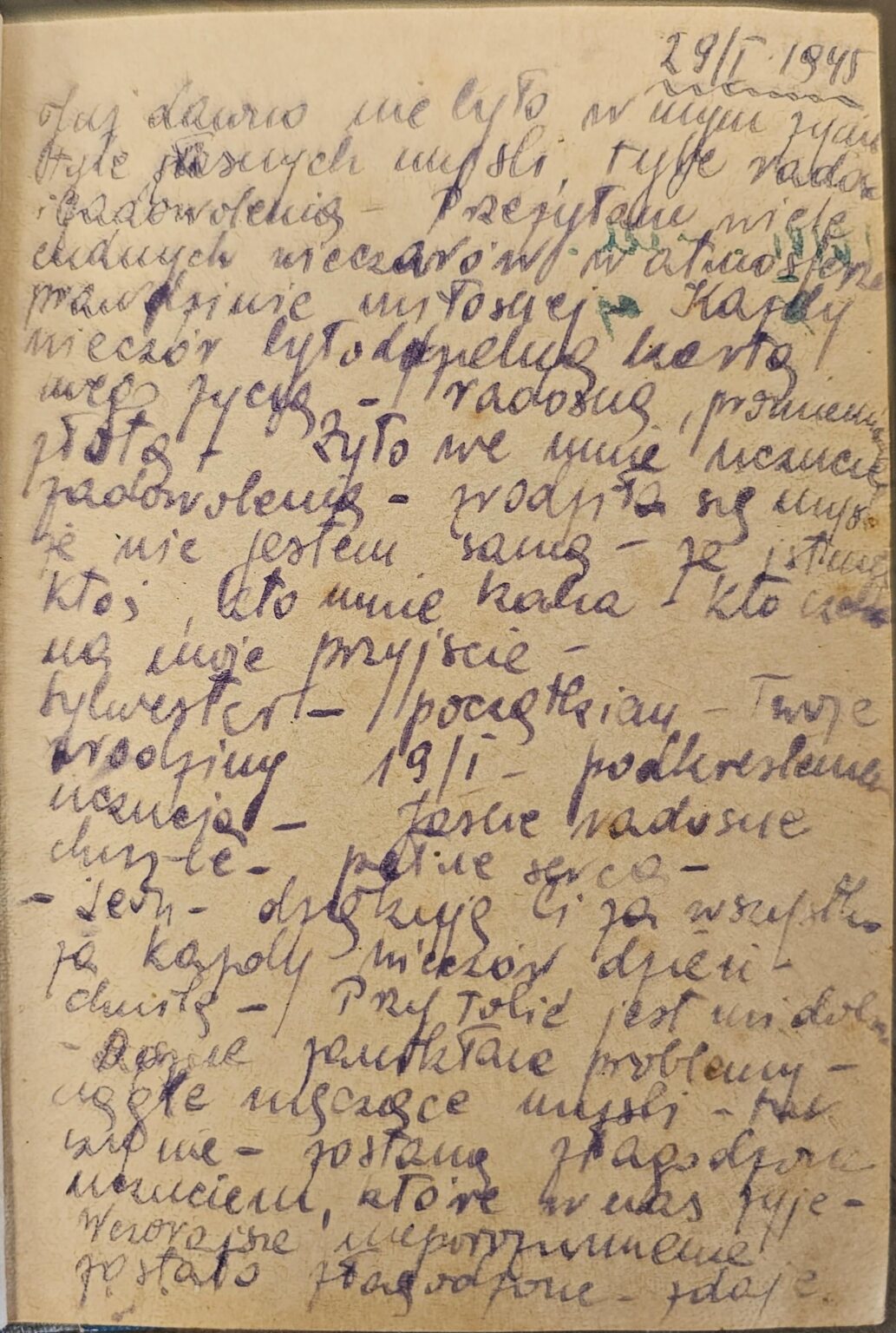 第二次世界大戦の手書き日記の翻訳