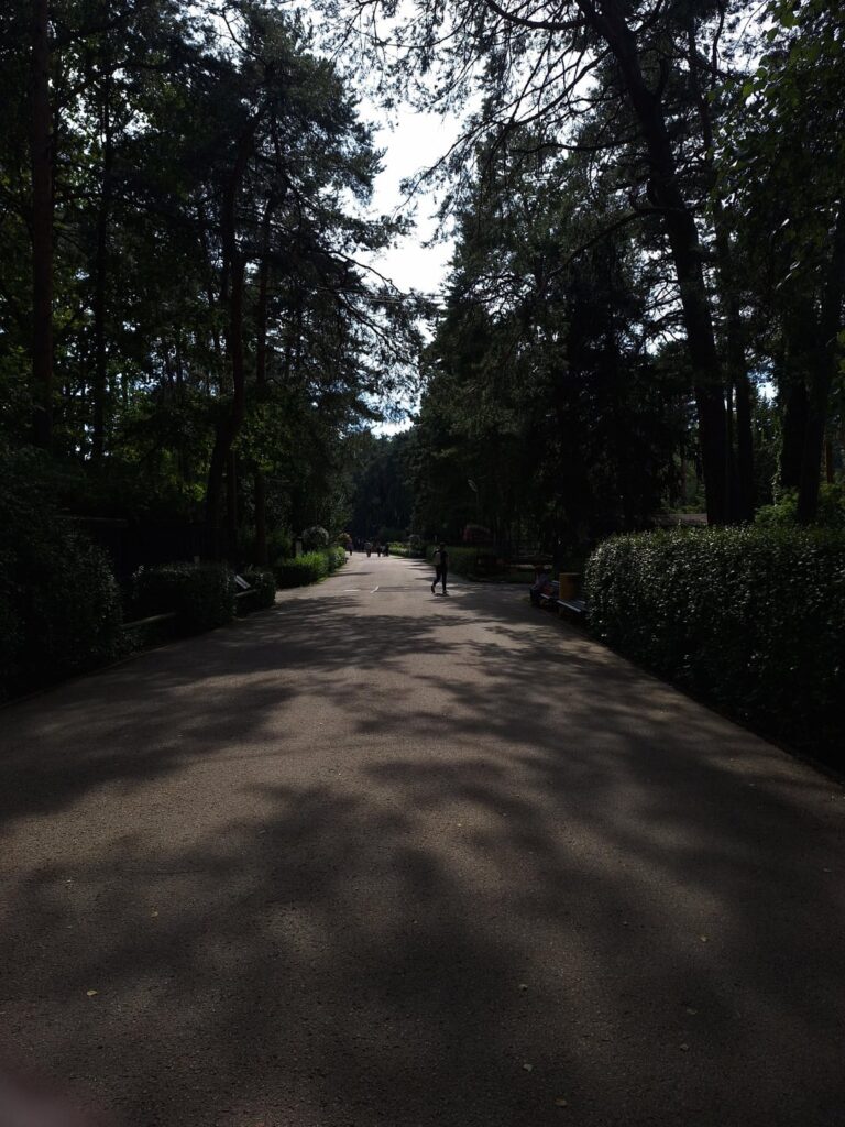 私の旅パート2