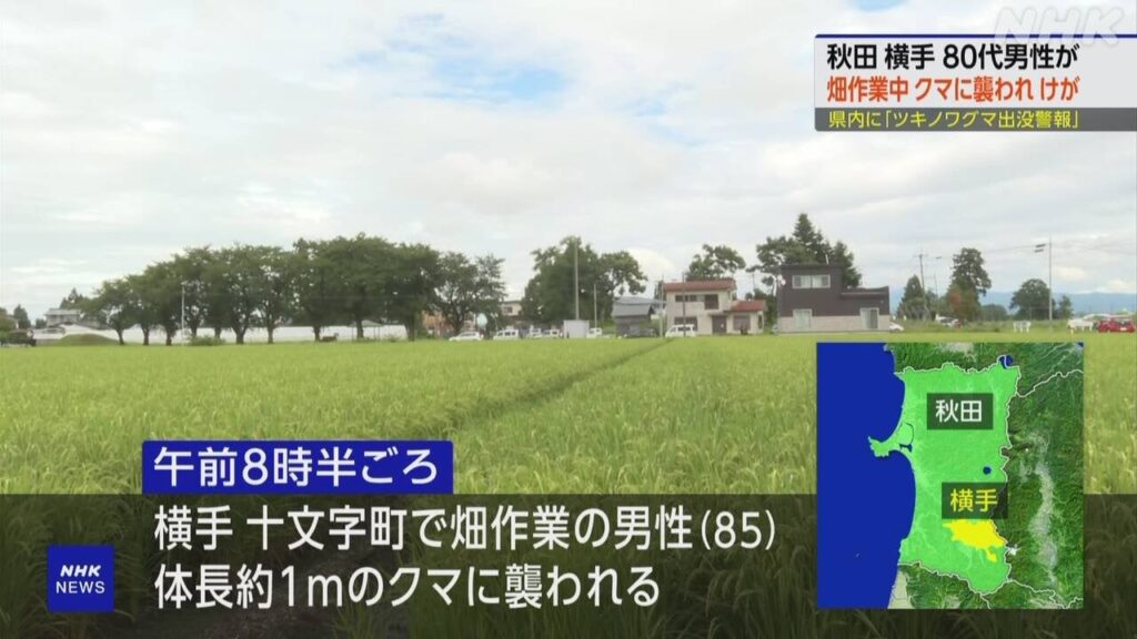 秋田 横手 畑で作業していた80代男性 クマに襲われけが