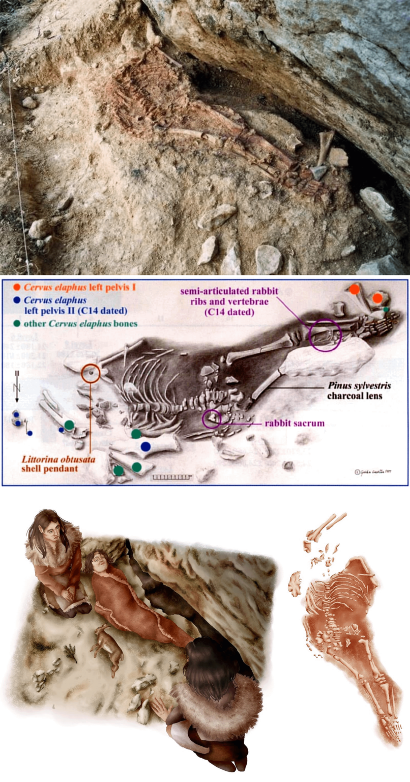 ラペドの子供はポルトガルで発見された24,500年前の先史時代の骨格で、ネアンデルタール人の親と解剖学的に現代人の親を持つ混血種であると考えられています。4歳の子供は、穴の開いた貝殻、死んだ若いウサギ、2頭のアカシカの骨盤、赤い黄土とともに埋葬されました。 [1600x3050]