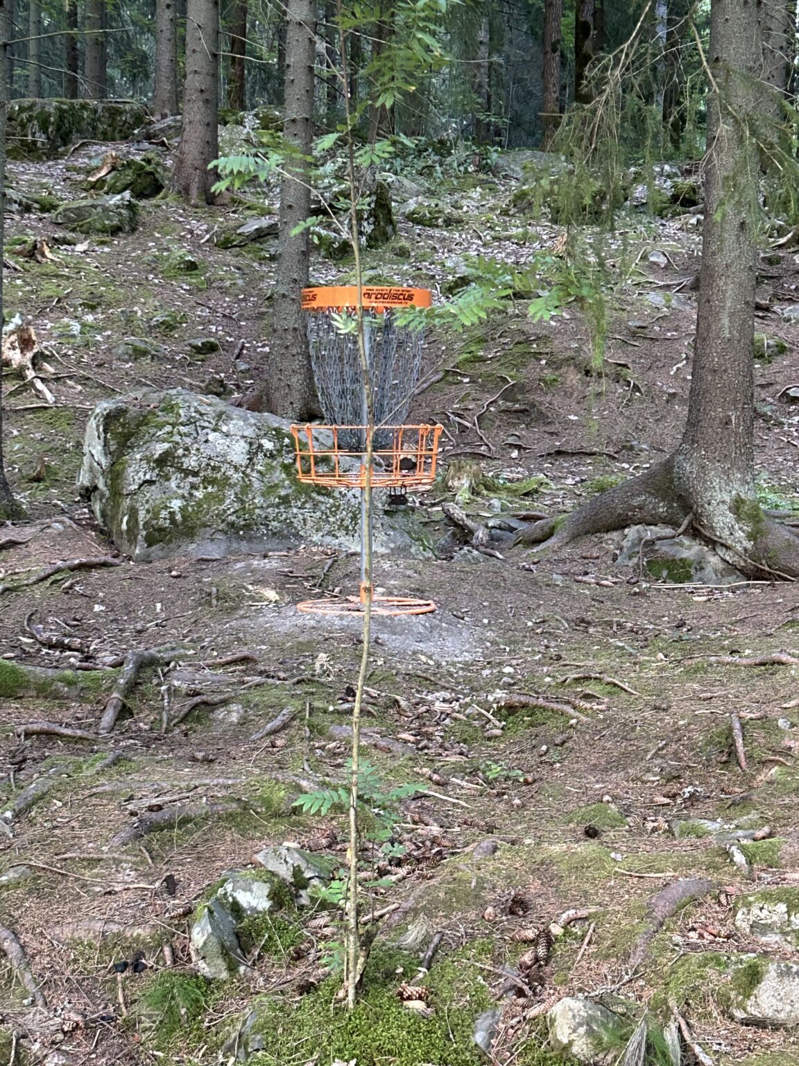 これは何ですか？
