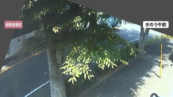 5歳と7歳の女児死亡衝突事故の瞬間映像…母が運転の軽自動車がセンターラインはみ出し路線バスの正面に 福岡市