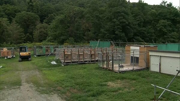 クマに襲われたか 飼育施設で犬3頭死ぬ 首の部分に傷 北海道・奈井江町