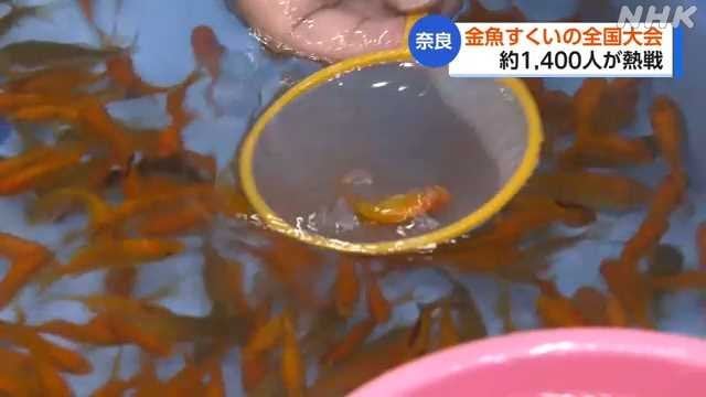 奈良 大和郡山 金魚すくいの全国大会 団体・個人戦で熱戦