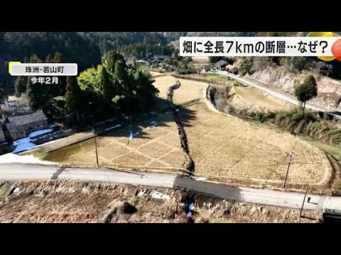 専門家も「不思議」微弱な地震すら観測されずに現れた“高さ最大約2.2mの断層” 金沢大学等が調査開始 (2024年8月19日) 専門家も「不思議」微弱な地震すら観測されずに現れた“高さ最大約2.2mの断層” 金沢大学等が調査開始 (2024年8月19日)