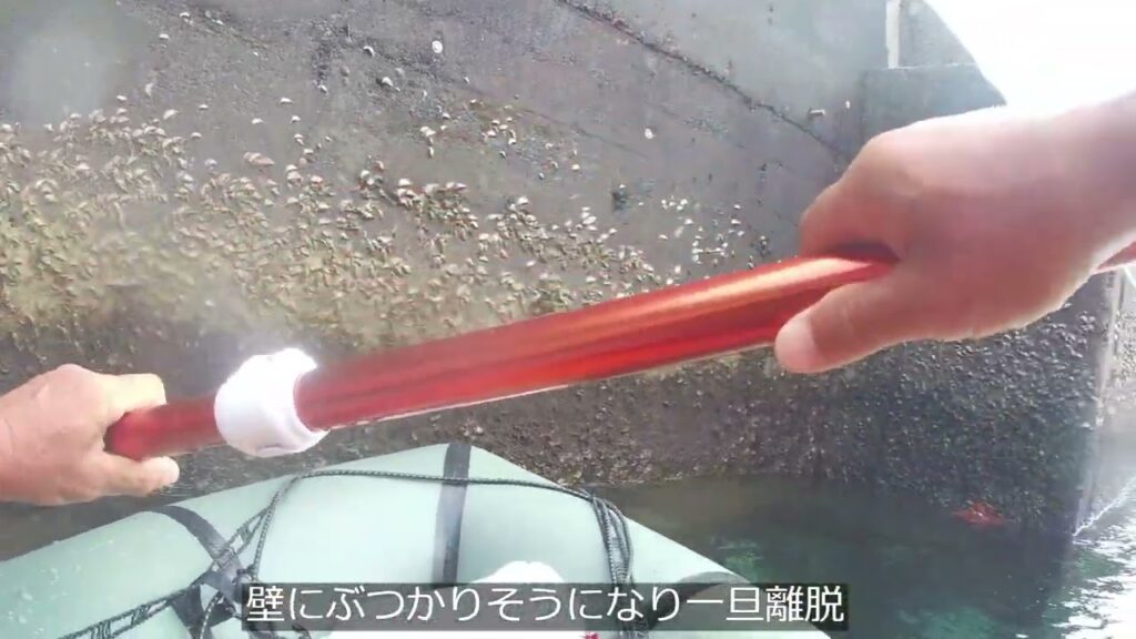 トカラ列島　諏訪之瀬島　アカショウビン救出