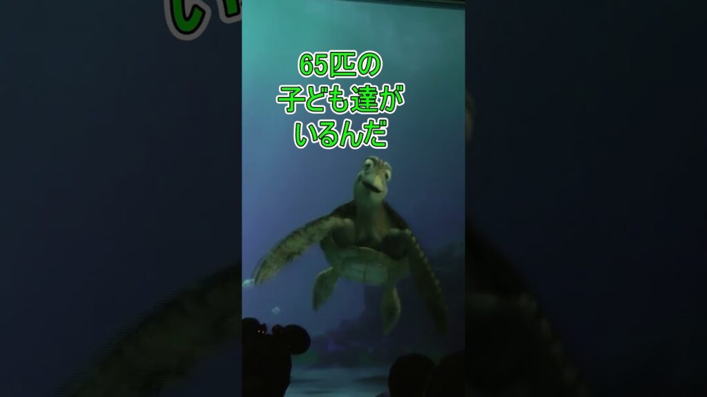 クラッシュの隠し事ってなんですか？【タートルトーク】東京ディズニーシー