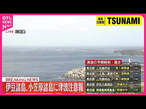 【速報】鳥島近海では過去にも地震の規模に比べ大きな津波  海底火山の影響か