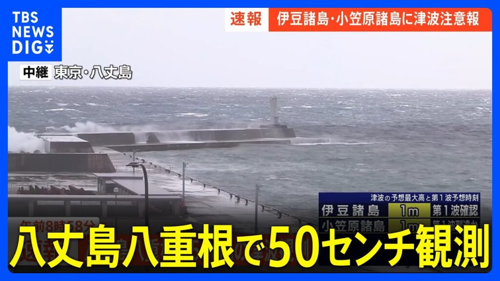 【速報】八丈島八重根で50センチの津波観測｜TBS NEWS DIG