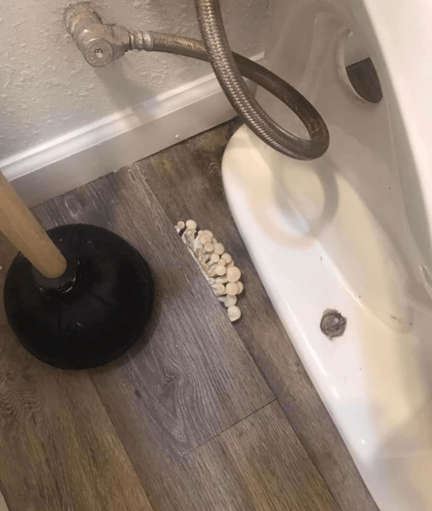 食べられるのでしょうか？
