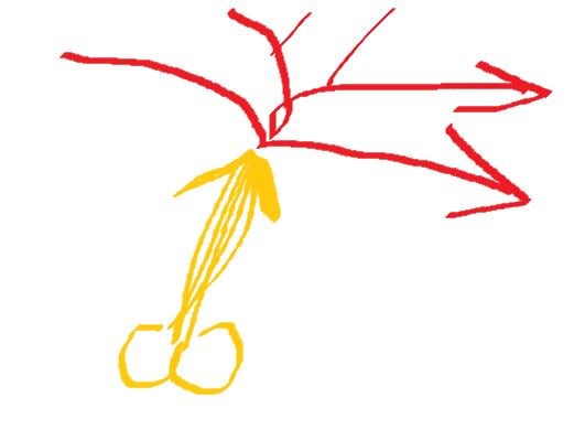 ウインカーは点灯させなければなりませんか？