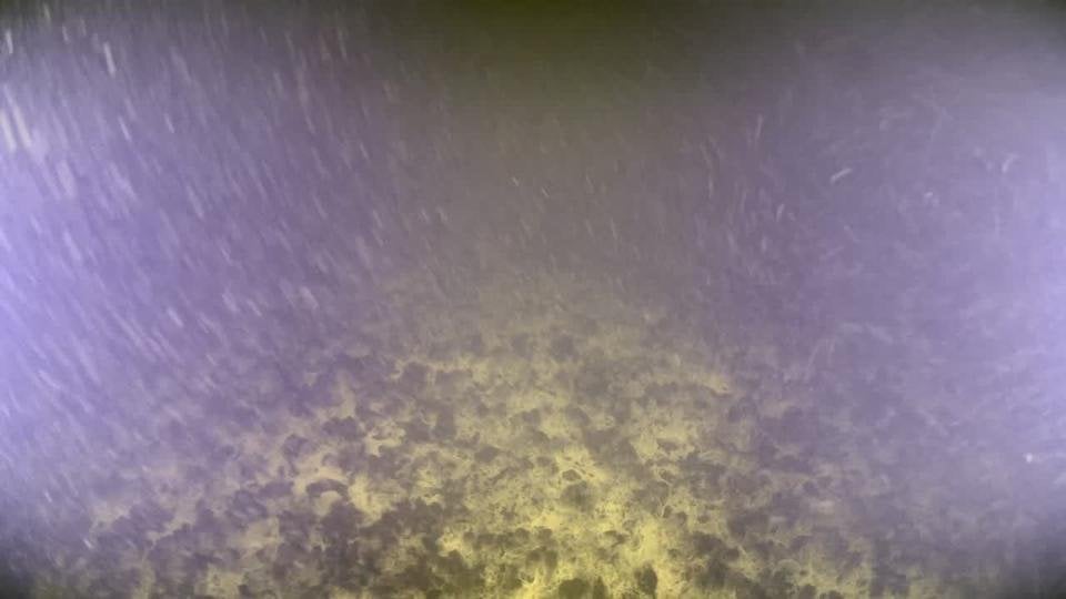 財務省はデンマークの水環境に関する要件を緩和する予定です。科学者たちは自分の目を信じられないほどだ [Gavelink]