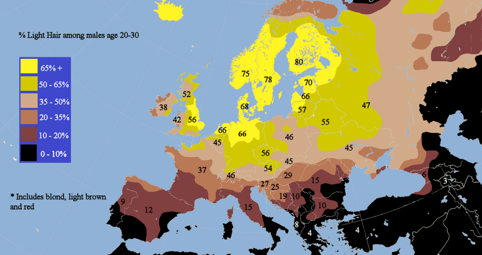 フィンランドは地球上で最もアーリア人が多い国です。