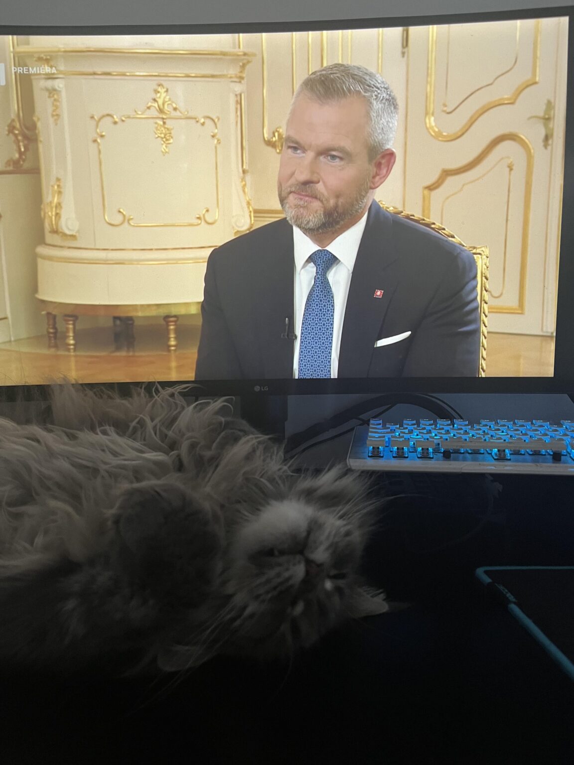 うちの猫はあげませんでした