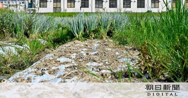 畑から京野菜の「九条ねぎ」を盗んだ疑い 農業の男を逮捕 京都府警
