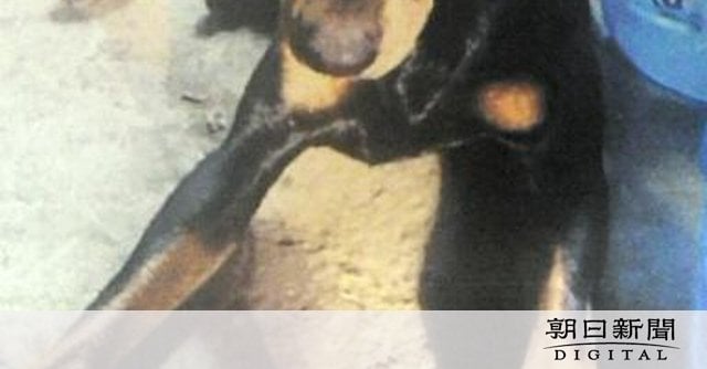 ドーベルマンなど大型犬3頭が一時逃走 千葉県四街道市