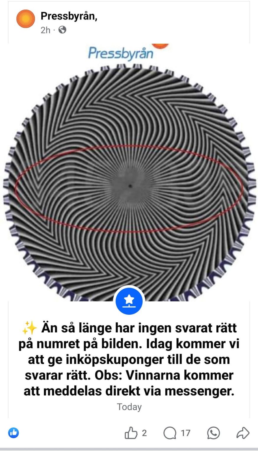 これらの偽の投稿の目的は一体何なのでしょうか？