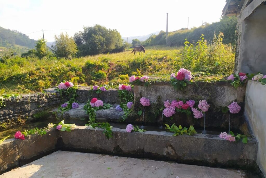 アストゥリアスの多くの町では、サンスアンの夜に噴水に花が咲きます。朝水の花には不思議な力があると言われています。アストゥリアスでは、夏至の前夜に噴水を花で飾る人がいます。その夜には「ザネス」も出てきます。