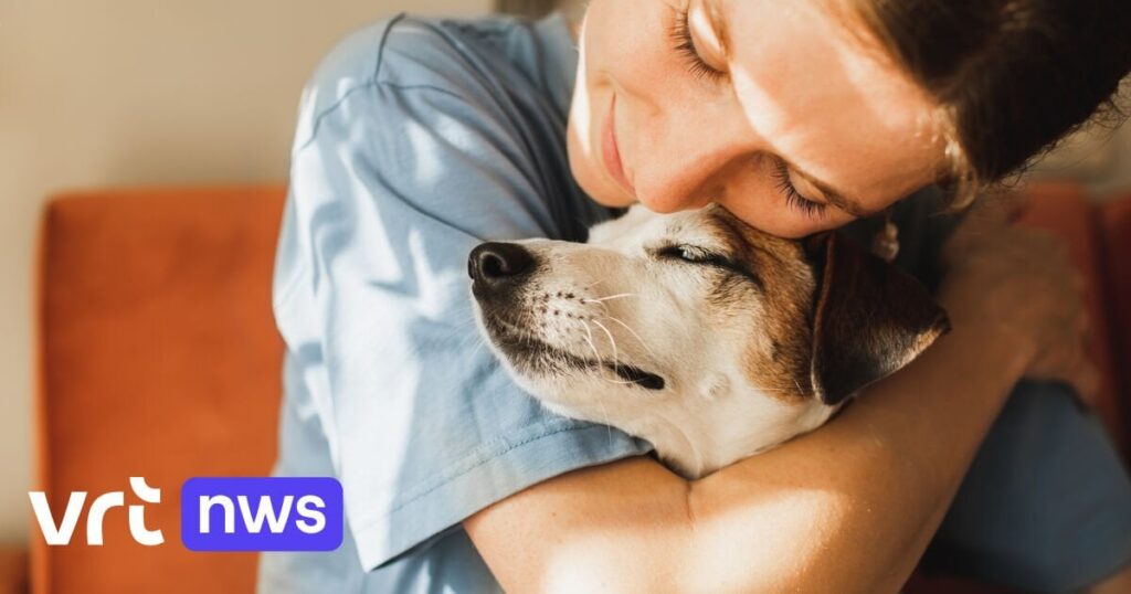 なぜ VRT は犬や猫に関するヒントではないヒントを提供するのでしょうか? なぜ VRT は犬や猫に関するヒントではないヒントを提供するのでしょうか?