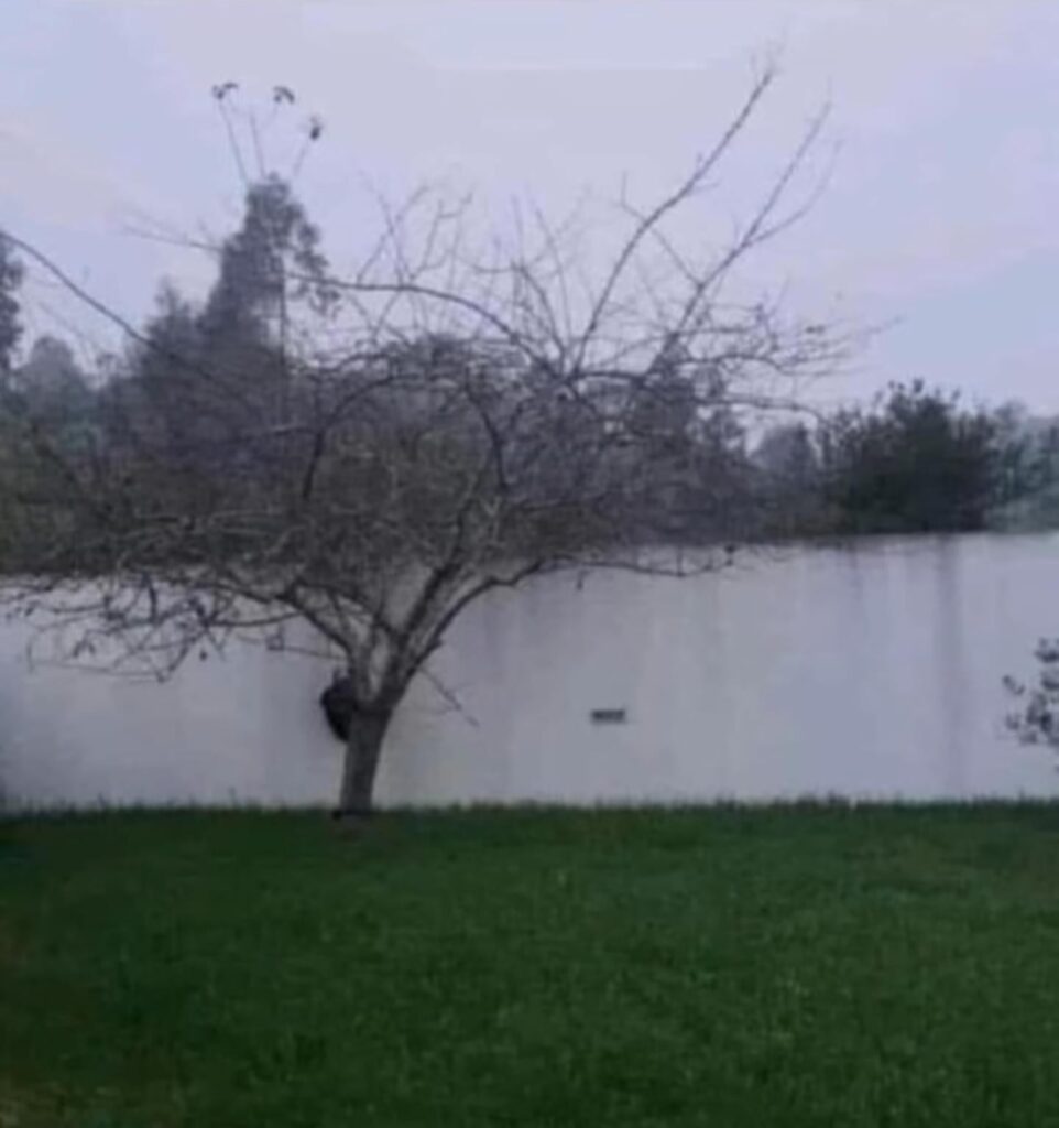 美しい湖の景色だと思いました