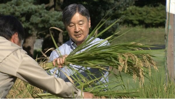 天皇陛下が皇居で恒例の稲刈り 昭和天皇・上皇さまから引き継がれ今年も長靴姿で収穫