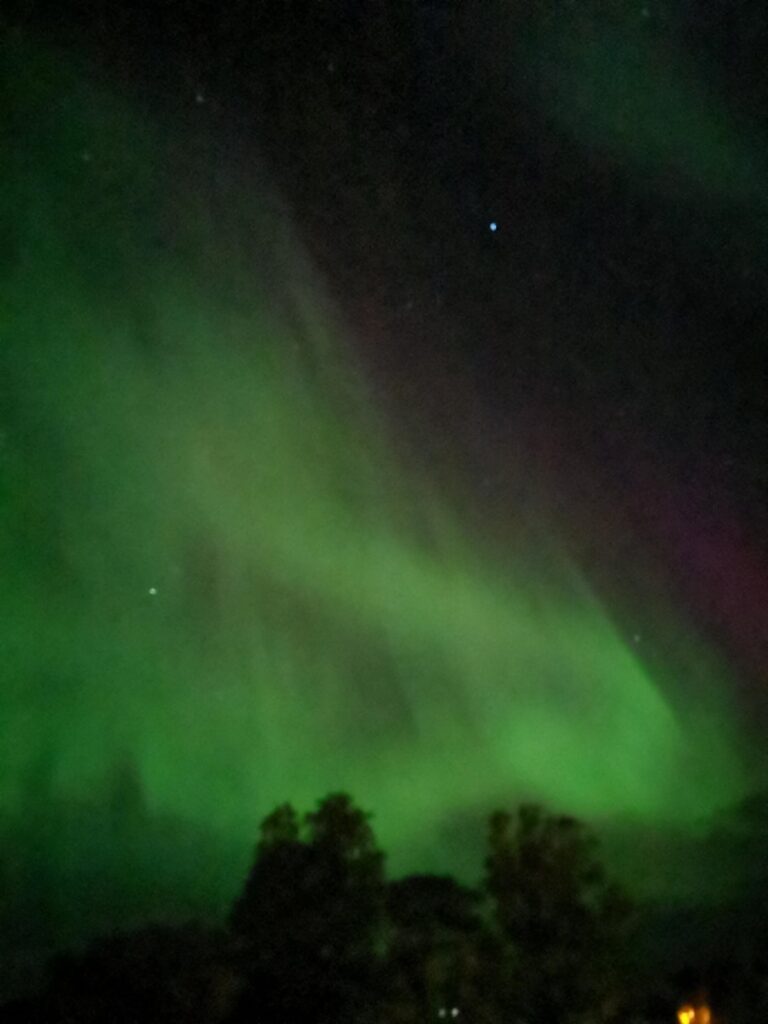 見かけたらついつい写真を撮ってしまいました！！