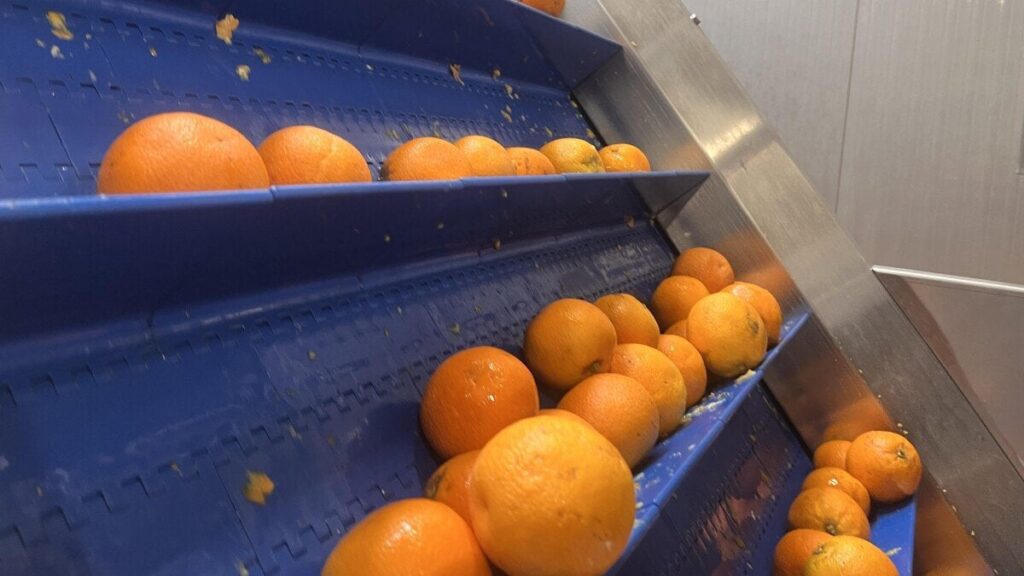 気候変動は私たちのサプライチェーンを脅かします