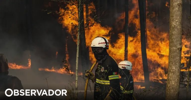 典型的ではない要因の組み合わせ（ここ 20 年間でユニーク）が炎上に拍車をかけました。極端な状況はさらに頻繁になるだろうと専門家が警告