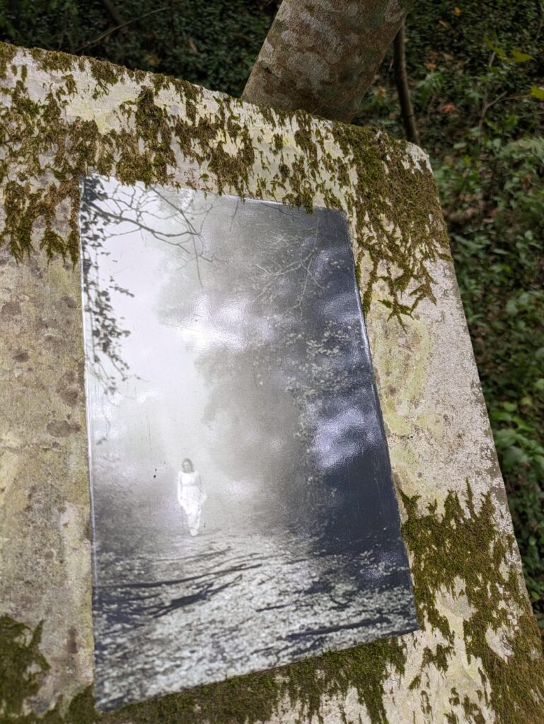 シントラ近郊の森に不気味な写真の看板