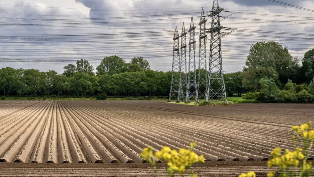 「全電力網には年間最大400億ユーロのコストがかかり、より抜本的な対策が必要だ」