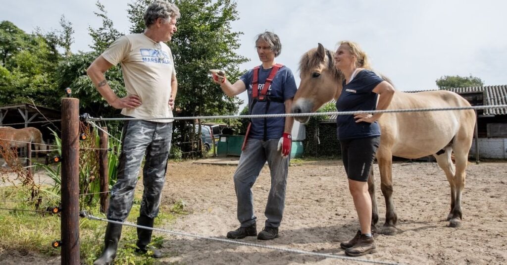 生態学者リック・ヴァン・マルセン氏「オオカミから動物を守らない者は補償を受けるべきではない」