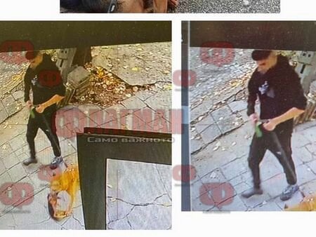 ブルガスでピットブルが年配の女性を倒し、彼女のピンシャーを殺害した。オーナーが彼にシューッと言いました。どのぐらいの間？