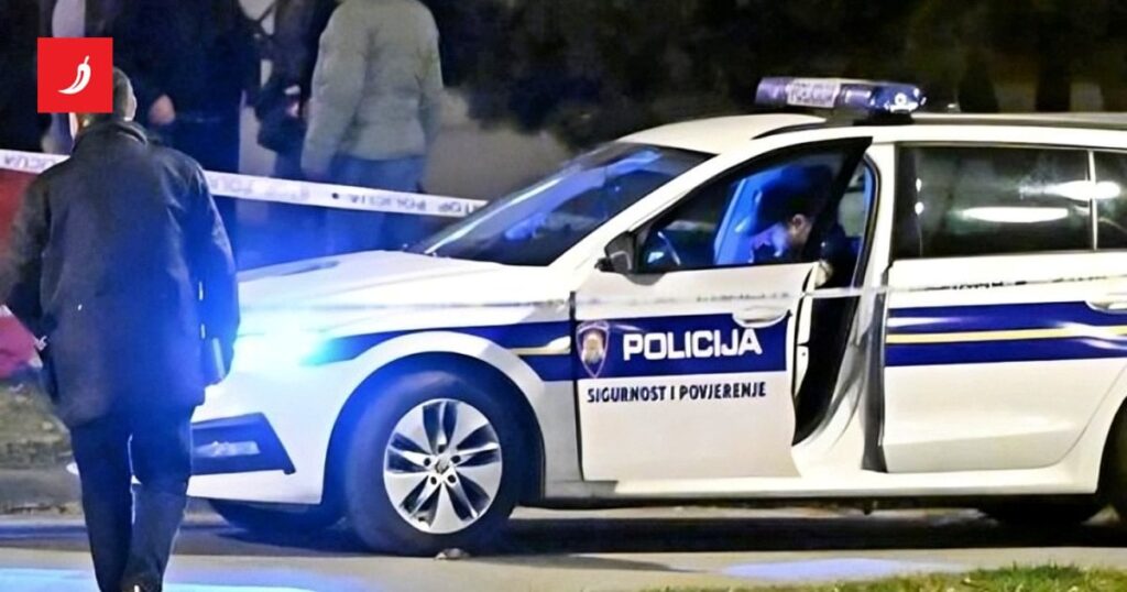 DM政権のトップは最終的にレメティナックに行き着いた：彼はバットで男性を攻撃し、彼の車を破壊した